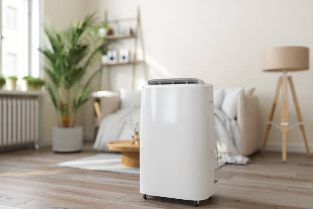 Best Furnace Cleaning in Thoreau, NM